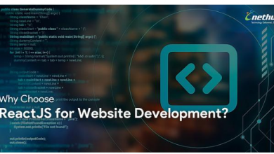 why-choose-reactjs-for-website-development?